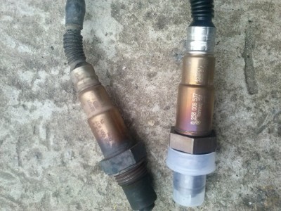 CAM00486.jpg
