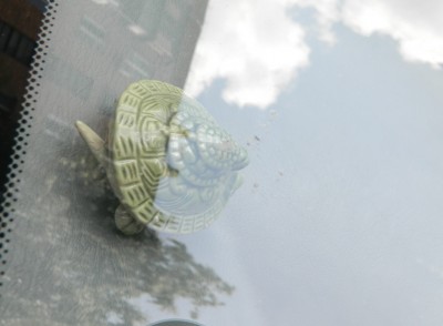 DSCN5667.JPG