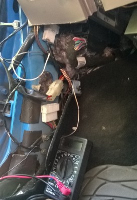 WP_20150512_008_1.jpg