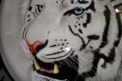 100_7141.JPG
