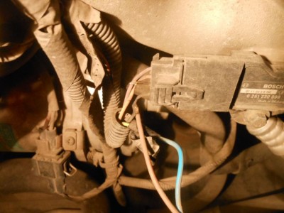 DSCN5820.JPG