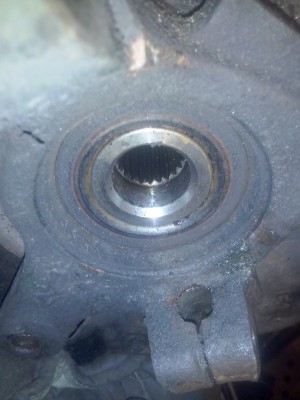 CAM00488.jpg