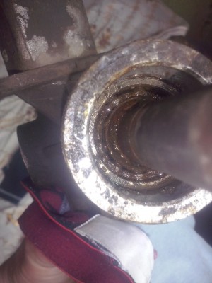 CAM00629.jpg
