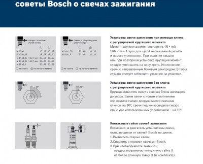 Bosch.jpg