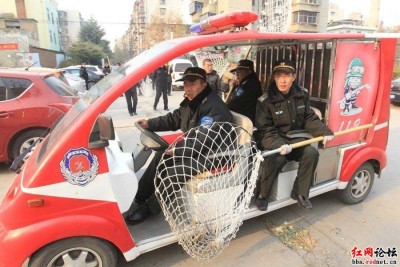 175847w2f7nv8wy7b2h23h.jpg.thumb.jpg