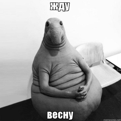 wy9ut0.jpg