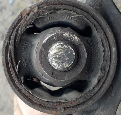 20190429_134235.jpg