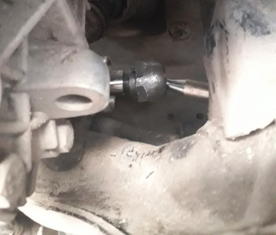 20190524_124901.jpg