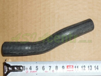 s12-1303417.jpg