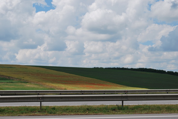 DSC_0736.jpg