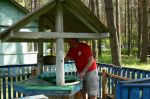 10_05_2008_347.jpg