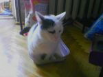 050806_080639.jpg