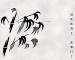 Bamboo_copy.jpg