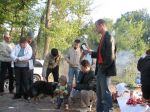 Файл=IMG_7282.JPG
Объём=130KB
Размеры=800x600
Дата=Май 08, 2008 IMG_7282.JPG
