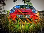 88cd3415d54db94b-large.jpg