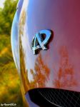 88cd341aa40a9356-large.jpg