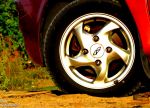 88cd34d5ce241881-large.jpg